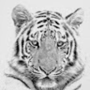 Meet your Posher, Kiki